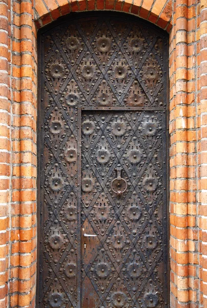 Old ancient door — Stock Photo, Image