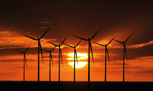 Parque de turbinas eólicas sobre o pôr do sol — Fotografia de Stock
