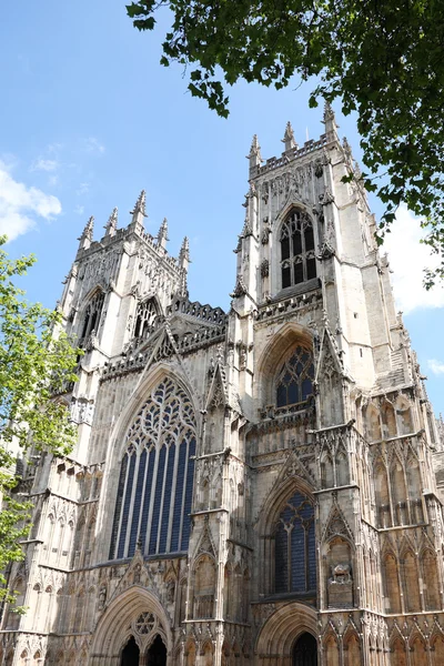York Minster Cathedral in York — Stock Photo, Image