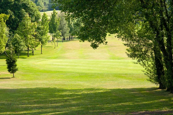 Beau Paysage Parc Golf Champ Vert Avec Des Arbres — Photo