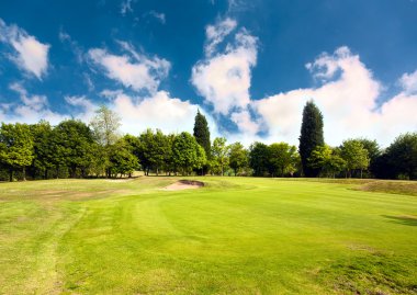 Beautiful golf course surrounded with bunkers clipart