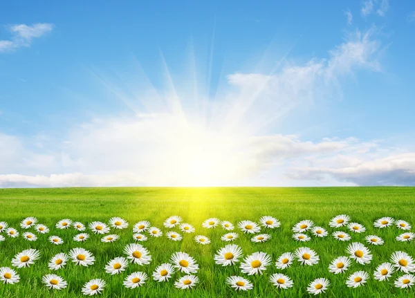 Springtime Conceptual Image — Stock Photo, Image