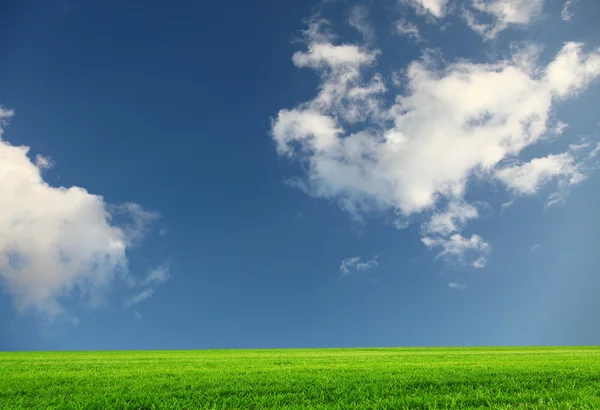 Zelená pole a obloha, přírodní pozadí — Stock fotografie