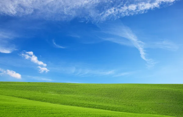 Fältet och himlen, natur bakgrund — Stockfoto