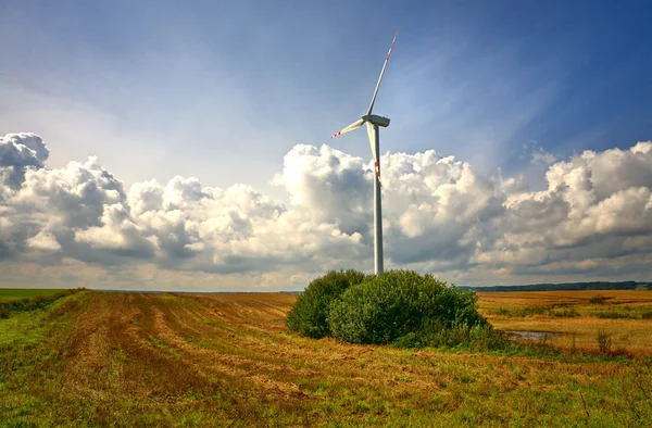 Wind turbines in an open field on cloudy day — Stock Photo, Image
