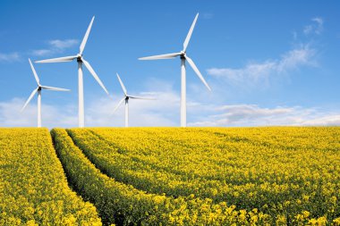 Wind farm with rape field clipart