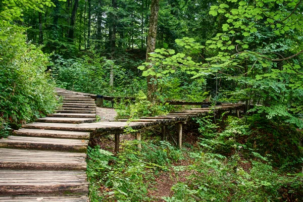 stock image Wood bridge in the forest