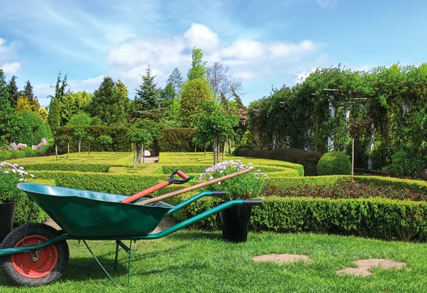 Groene tuin in het voorjaar — Stockfoto