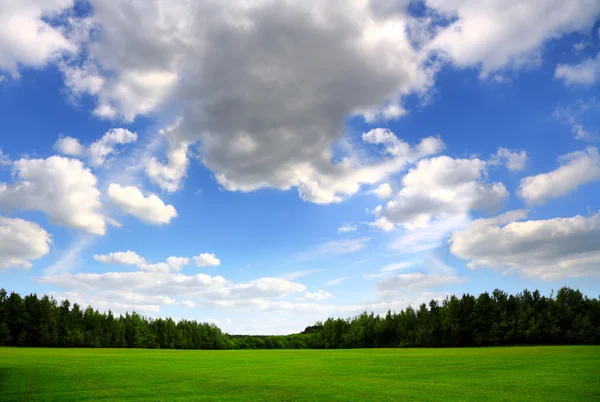 Groen veld en mooie hemel, natuur achtergrond — Stockfoto
