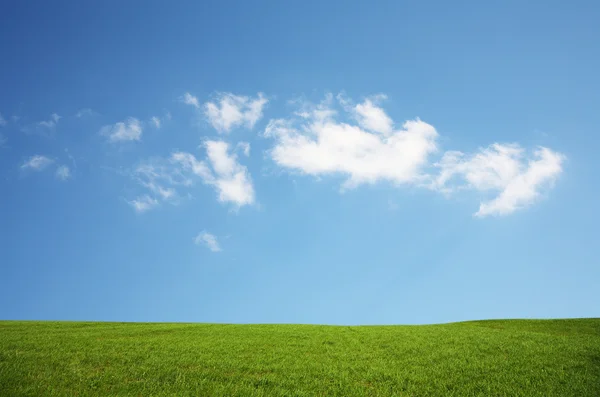 Bakgrund himmel och gräs — Stockfoto