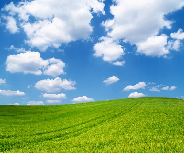 Achtergrond van bewolkte lucht en gras — Stockfoto