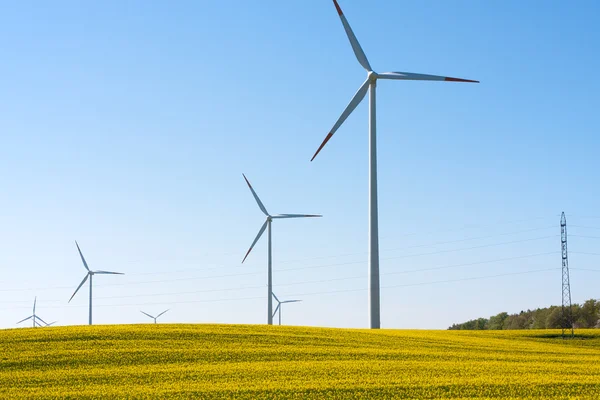 Pole semeno řepky s větrné turbíny — Stock fotografie