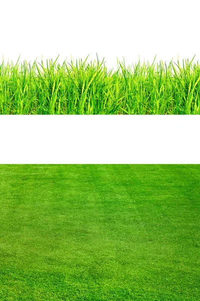 2backgrounds of fresh spring green grass — Stock Photo, Image
