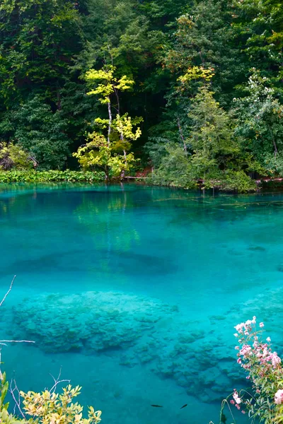 Turquoise lake — Stock Photo, Image