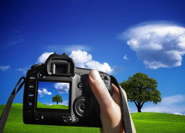 Woman photographing landscape — Stock Photo, Image