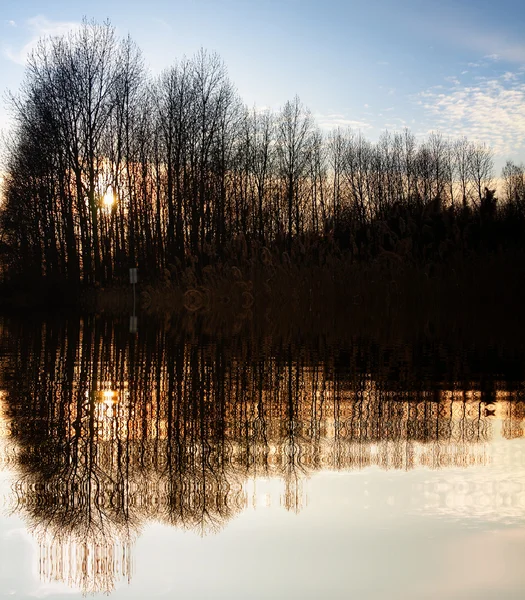Réflexion coucher de soleil forêt — Photo