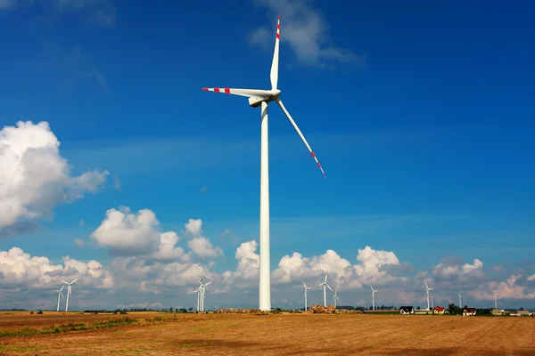 Větrné turbíny, alternativní zdroje energie — Stock fotografie