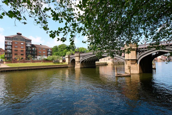 Parque fluvial en York, Reino Unido —  Fotos de Stock