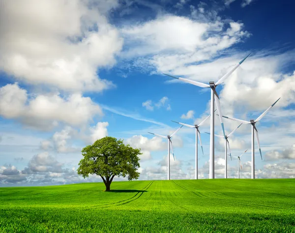 Ecologie - wind van verandering — Stockfoto
