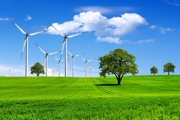 Ecology-Green Planet