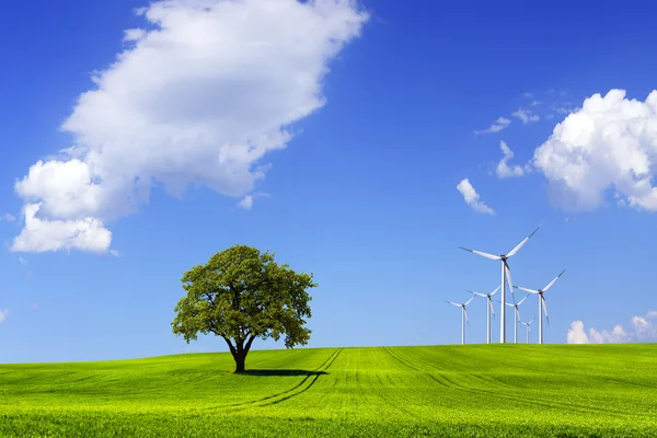 Mulino a vento su campo verde — Foto Stock