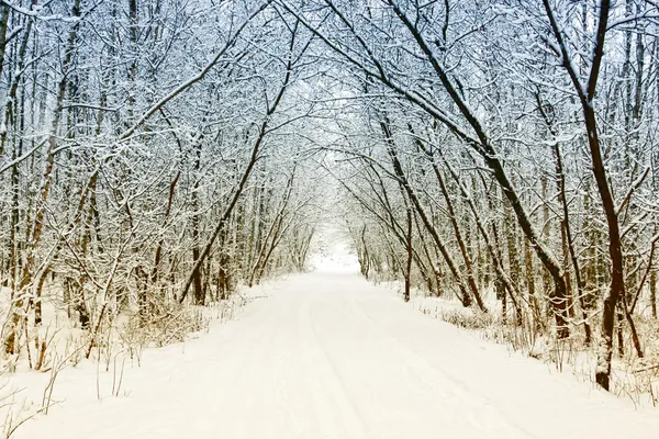 Холодная и снежная зимняя дорога — стоковое фото