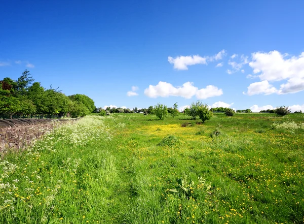 Jarní krajina v Yorkshiru — Stock fotografie