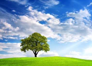 Green tree on cloudy sky clipart