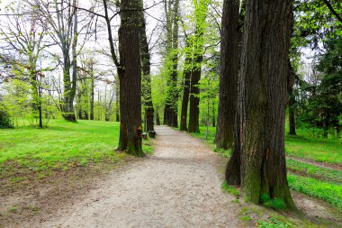 yeşil park