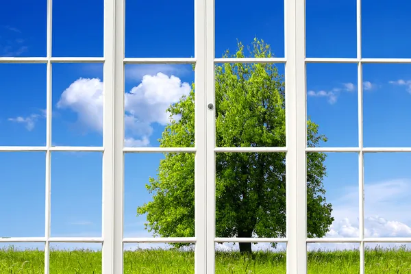 Ecology Window — Stock Photo, Image