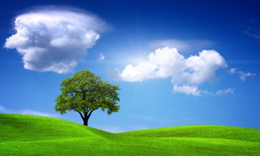 Field of grass and tree clipart