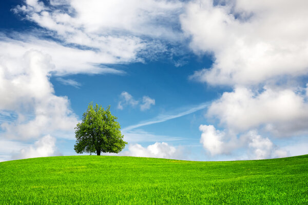 Springtime landscape