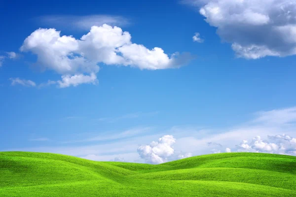 美しい緑の風景 — ストック写真