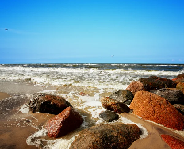 石的海滩 — 图库照片