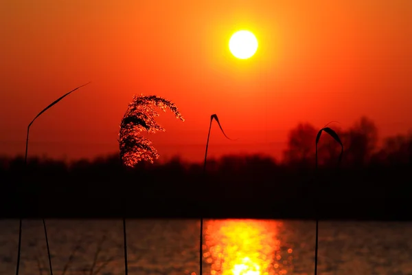 Solnedgång över sjön — Stockfoto