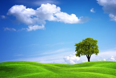 Green landscape with oak tree clipart