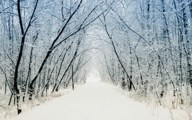 Winter alley clipart