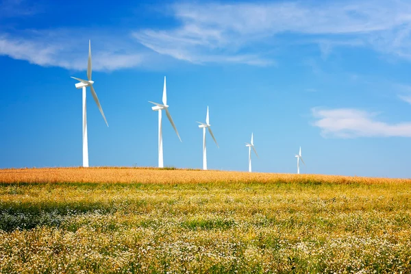 Wind Turbines Spring Meadow — Stock Photo, Image
