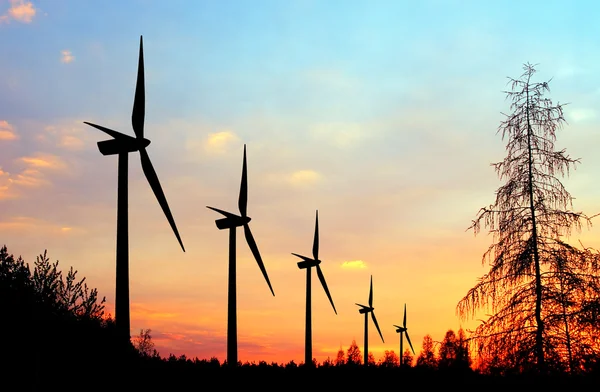 Wind Turbine Farm Sunset — Stock Photo, Image