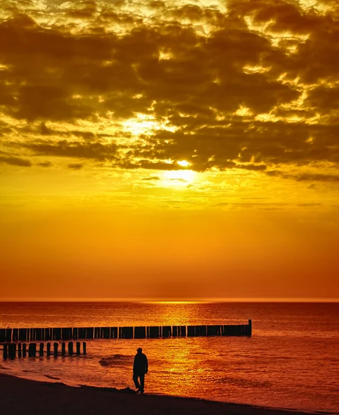 Mar dourado — Fotografia de Stock