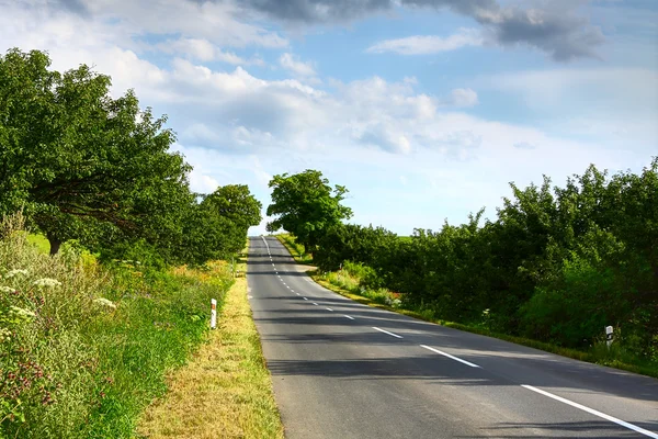 Sommarväg — Stockfoto