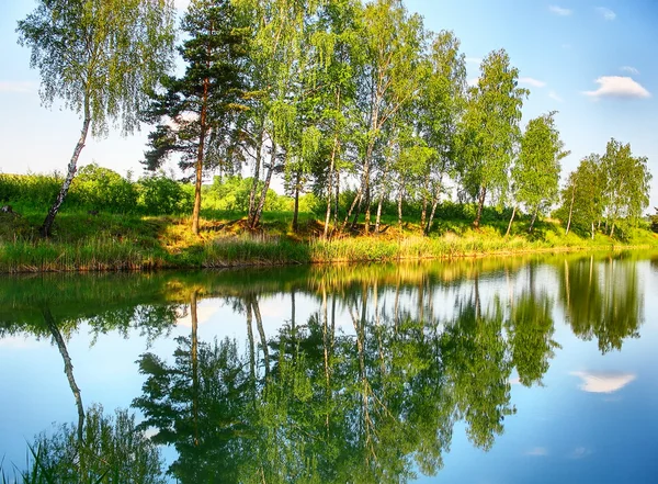 Återspegling av träd i floden — Stockfoto