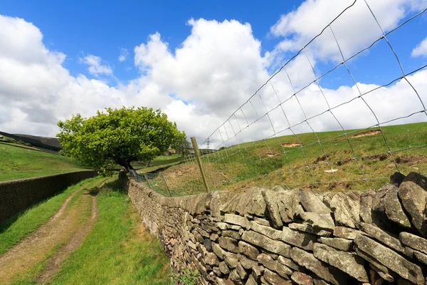 Yorkshire landskap, Storbritannien — Stockfoto