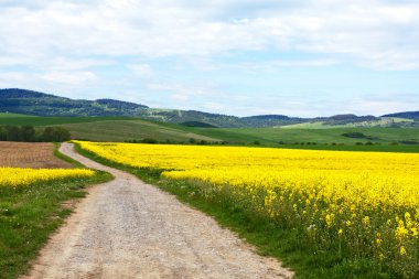 Mountain spring landscape clipart