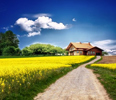 Country landscape with new house
