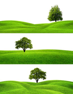 Green Banners clipart