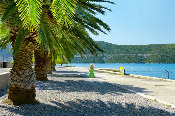 Palmenküste Kroatien — Stockfoto