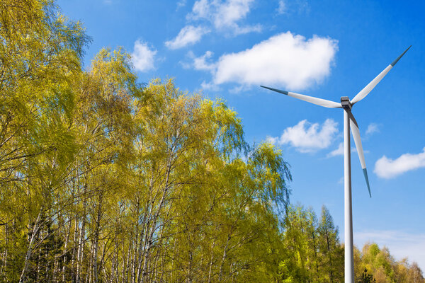 Spring forest with turbine