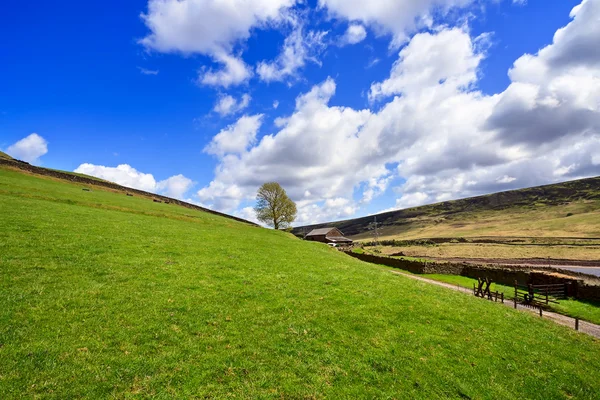 Mountain spring landscape, Yorkshire — Stock Photo, Image