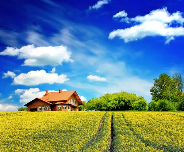 Güneşli bir ev ve mavi gökyüzü — Stok fotoğraf